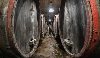 最早的 吐真劑 是酒 現(xiàn)代對(duì)嫌犯審查用麻醉劑