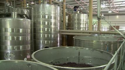 葡萄酒加工葡萄酒加工