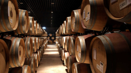 鍛造賀蘭山下&ldquo;紫色&rdquo;長廊 永寧縣精心釀造&ldquo;醉美&rdquo;產業(yè)