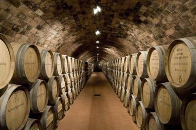 82年的拉菲為何至今仍有售？解析葡萄酒產(chǎn)量與市場(chǎng)流通的奧秘