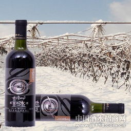 紫隆山紅寶石冰酒 品味時光凝萃，共創財富未來——通化紫隆山葡萄酒廠火熱招商